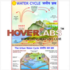 水的循环图